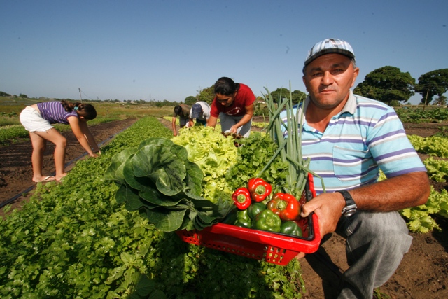 Família agricultora trabalhando em um campo sustentável, simbolizando o futuro da agricultura