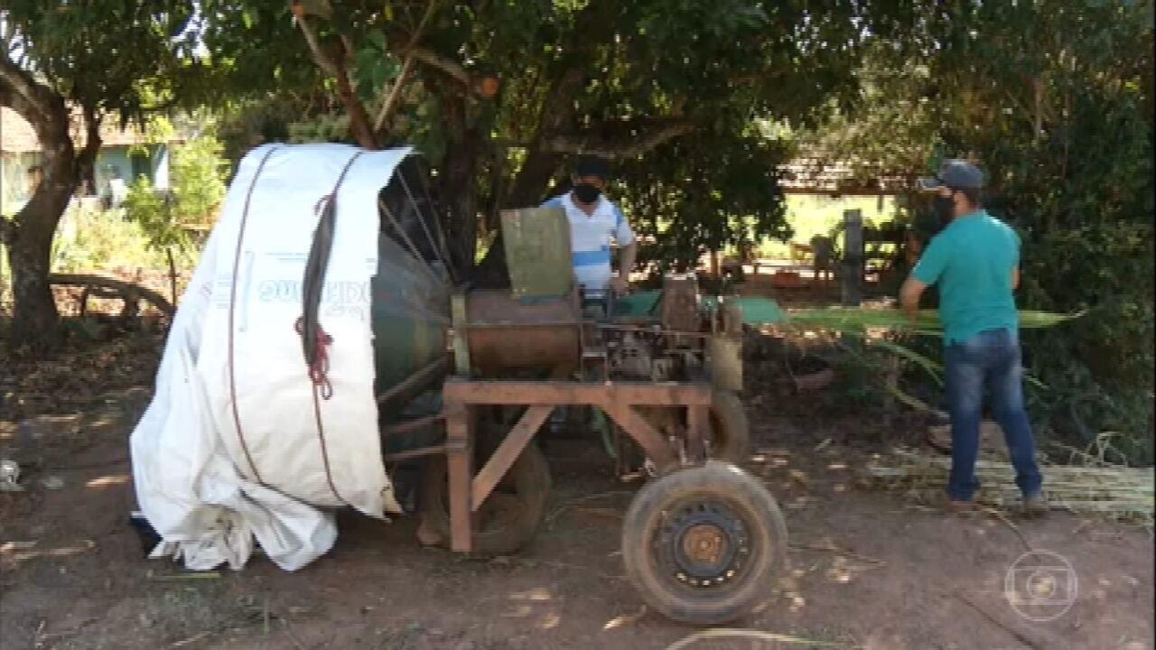 Produtores rurais de Minas Gerais desenvolvem soluções criativas no campo, mostrando a conexão entre tradição e inovação.