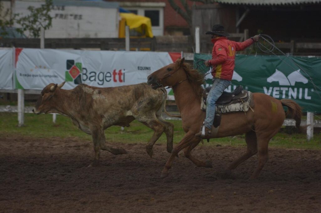 Competição de laço em um campeonato country