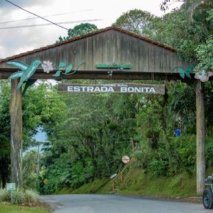 Paisagem rural de Joinville, com colheita e natureza exuberante