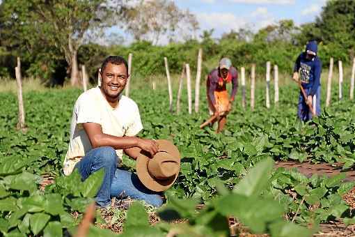 Pessoas desfrutando da vida rural em um cenário campestre