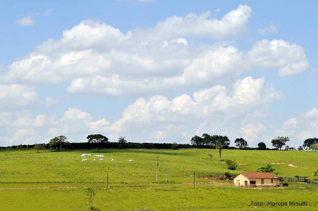 Imagem de um rancho rural com estruturas típicas do campo