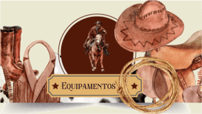 Equipamentos de Rodeio e Equestres em uma competição country