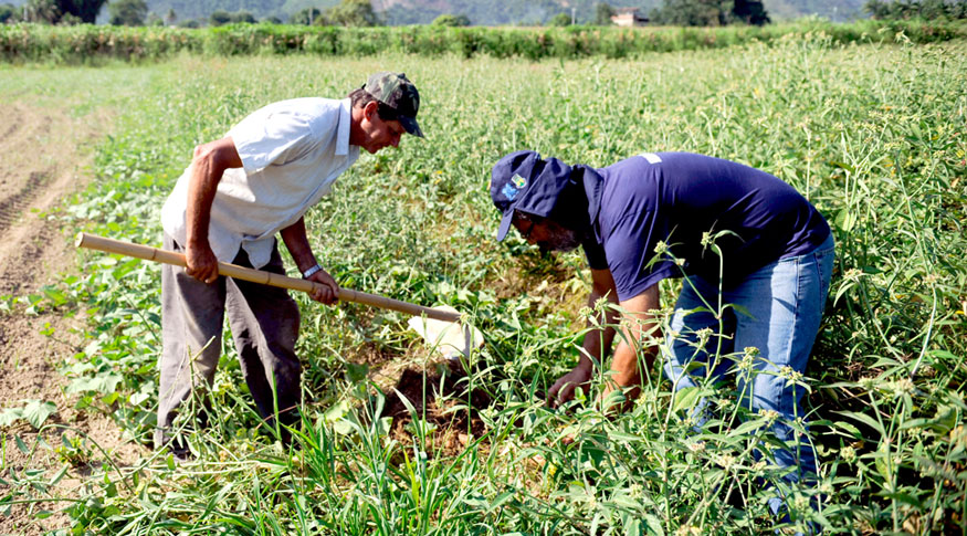 Cultura Rural Brasileira com ênfase nas tradições e raízes do campo