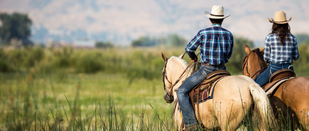 Cavaleiro montando em um cavalo em uma paisagem rural típica do Brasil.