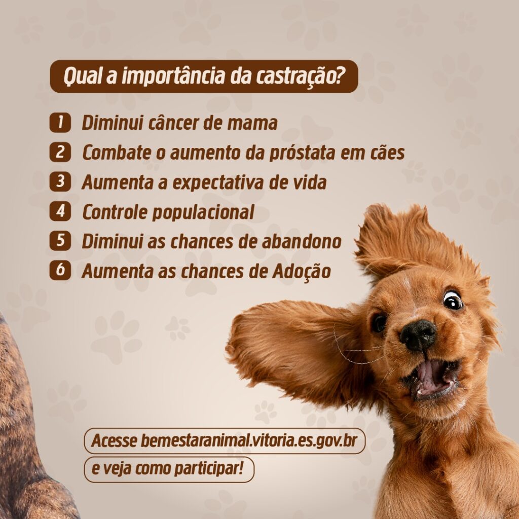 Cães e gados pastando em um campo verde sob um céu azul, representando a conexão entre a saúde animal e a vida no campo.