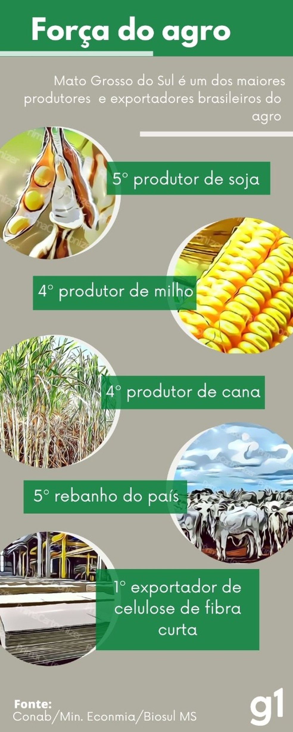 Imagem que representa a agropecuária sustentável, com pastagens verdes e bovinos ao fundo, simbolizando práticas agropecuárias que respeitam o meio ambiente.