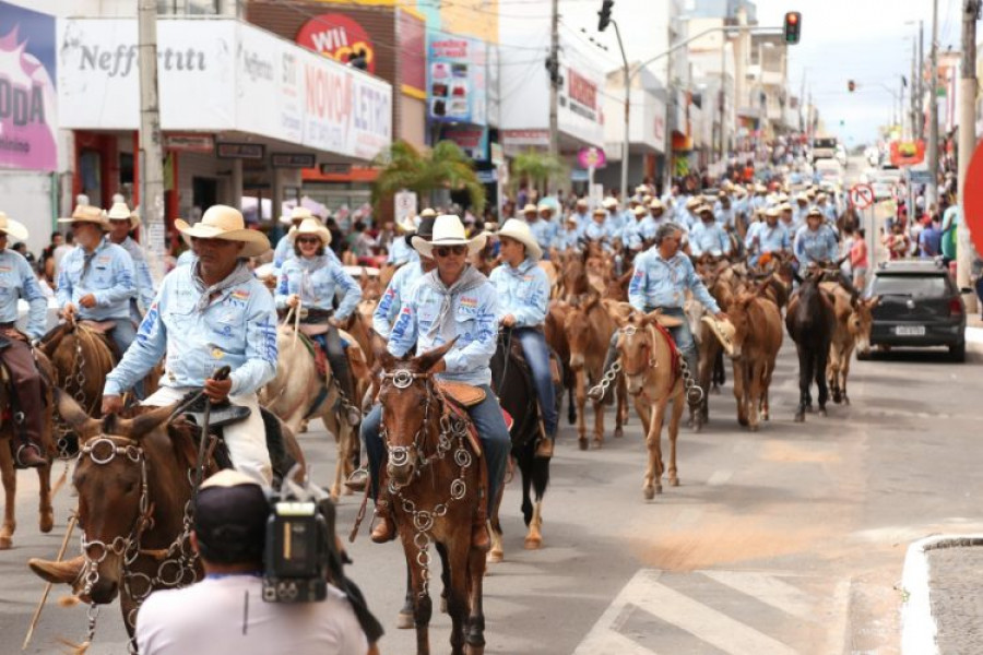 Retrato de um homem do campo com vestimentas tradicionais celebrando a cultura rural