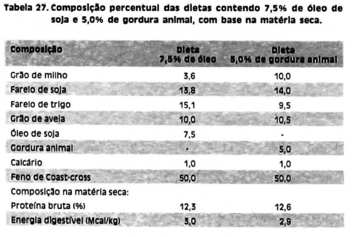 Um fazendeiro alimentando um cavalo na pequena propriedade rural