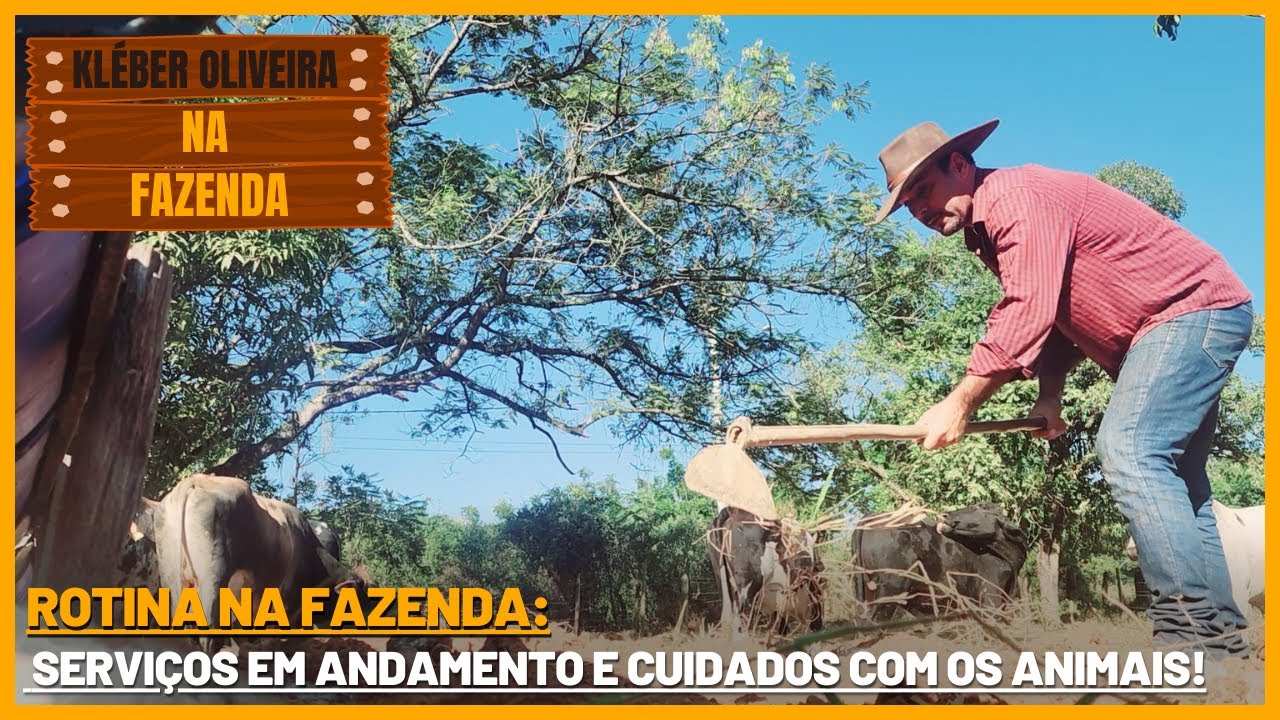 Cuidados com Animais de Fazenda