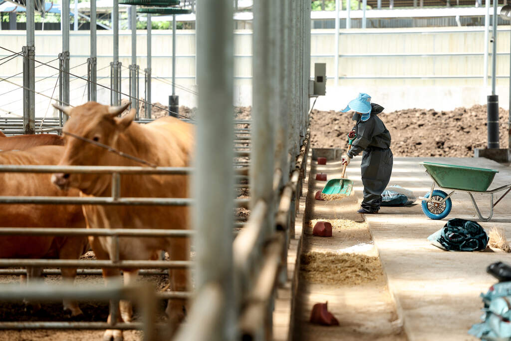 Equipamentos essenciais para pecuária em uma fazenda country