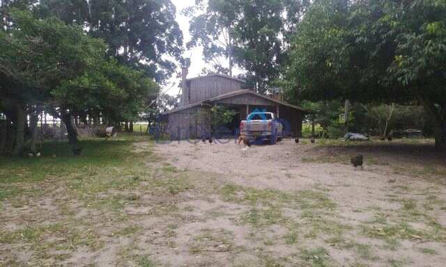 Fazendas e Sítios em Mostardas - RS, mostrando a beleza da vida rural brasileira