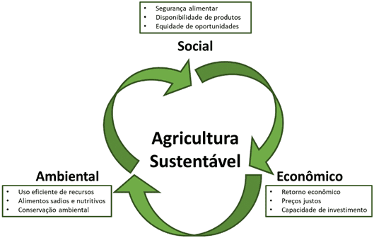 Uma fazenda sustentável com práticas ecológicas, mostrando campos verdes e técnicas de cultivo modernas.