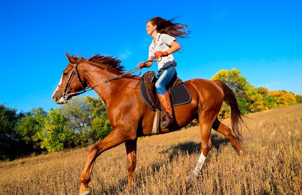 Um cavalo pronto para montaria em um ambiente rural, simbolizando a conexão entre homem e animal.