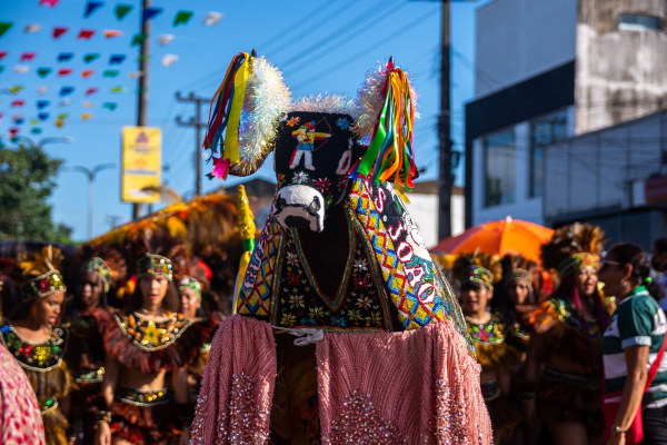 Tradições do Sertão nordestino com elementos culturais e costumes autênticos.