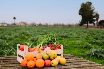 Caixote com legumes e frutas em um campo de cultivo