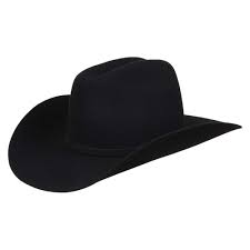 Chapéu Country Pelo e Lã Preto Cury 33478