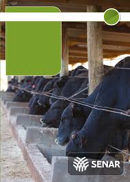 Alimentação e manejo de bovinos de corte em confinamento - Pecuária