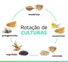Rotação de Culturas | Universo AgroGalaxy