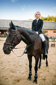 Esporte equestre, mulher posa a cavalo. Garanhão marrom, lazer com animal, cavalgada | Foto Premium