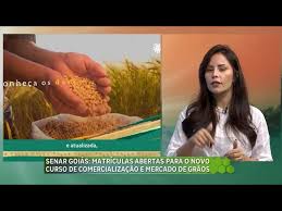 Comercialização e mercado de grãos: curso gratuito com matrículas abertas até 23/04