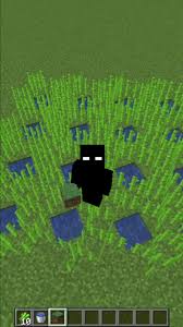 Melhor forma de plantar cana no #minecraft #minecrafttutorial #minecra... | TikTok