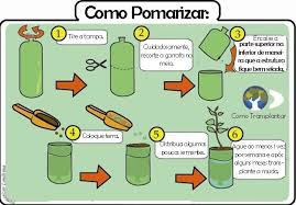 Aprenda a fazer mudas frutíferas e espalhar por fundos de vale da cidade