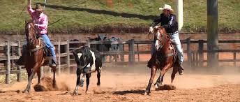 Tudo Sobre a Prova de Laço em Dupla | Blog Rodeo West