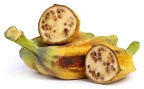 A banana tem sementes? - Mundo Educação