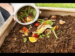 Como Fazer Compostagem Na Sua Casa
