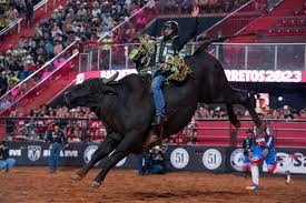 Festa do Peão de Barretos terá transmissão de rodeio ao vivo | Conexão Safra