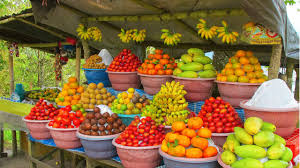 Árvores frutíferas: passo a passo para o plantio das principais frutas | Cursos a Distância CPT