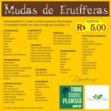 Frutíferas – Horto Escola Tudo Sobre Plantas