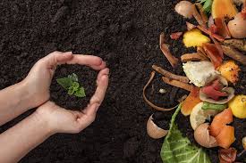 O que é compostagem e como fazer em casa? - A Lavoura