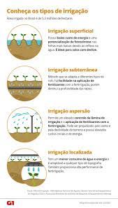 4 Tipos de Irrigação: Guia para Agricultura Eficiente