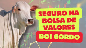 Como FUNCIONA o SEGURO na BOLSA de VALORES#pecuária