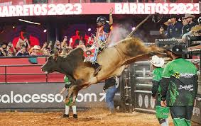 Peão do Paraná vence 3º round da montaria em touros em Barretos, SP; FOTOS | Festa do Peão de Barretos 2023 | G1