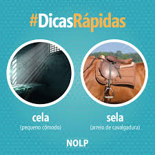 CELA significa, entre outras acepções, pequeno cômodo de dormir; alcova, recâmara. Também, nos conventos, aposento de um religioso. E, ainda, compartimento de prisioneiros nas penitenciárias. SELA quer dizer arreio de cavalgadura, peça