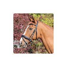 Comprar Acessórios para Cavalo Atacado: Guia Completo