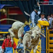 Stream episode Bull riding i Benidorm by Uvisst Barcast podcast | Listen online for free on SoundCloud