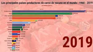 Vídeo mostra os principais produtores de carne bovina do mundo de 1960 a 2019