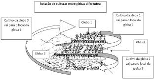 ROTAÇÃO DE CULTURAS