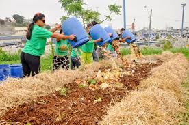 Iniciativa brasileira de compostagem comunitária é premiada na Alemanha | As Nações Unidas no Brasil