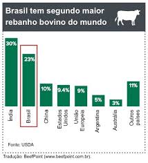 MLA: Confira relatório sobre indústria brasileira de carne bovina