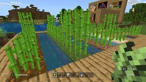 Como plantar cana de açúcar no Minecraft