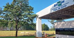 Embrapa Gado de Corte oferece oportunidades de capacitação