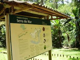 Passeio no Parque Estadual Serra do Mar - Executive Line