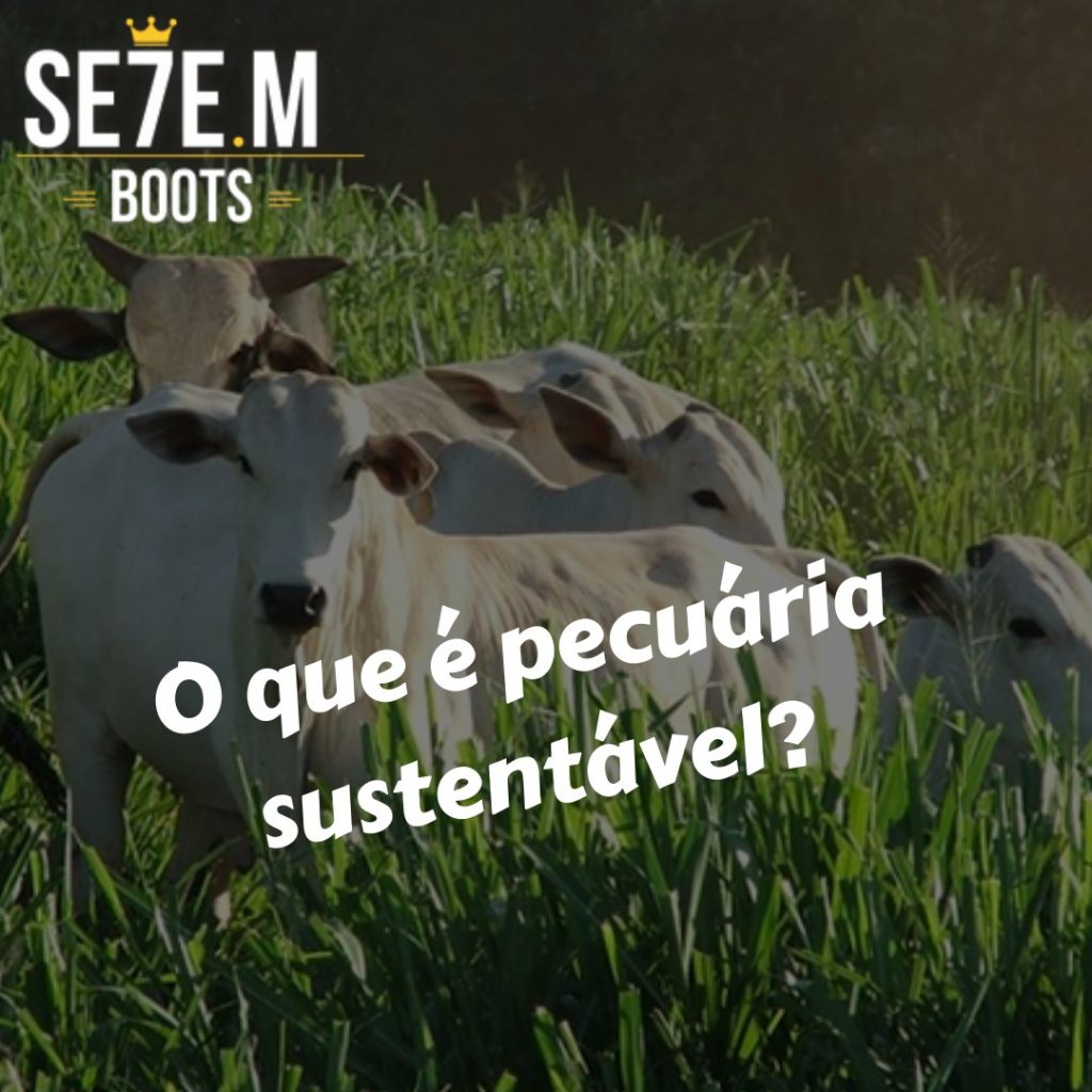 pecuária sustentável