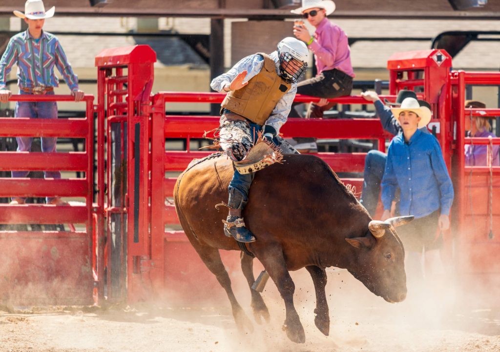 rodeio de barretos