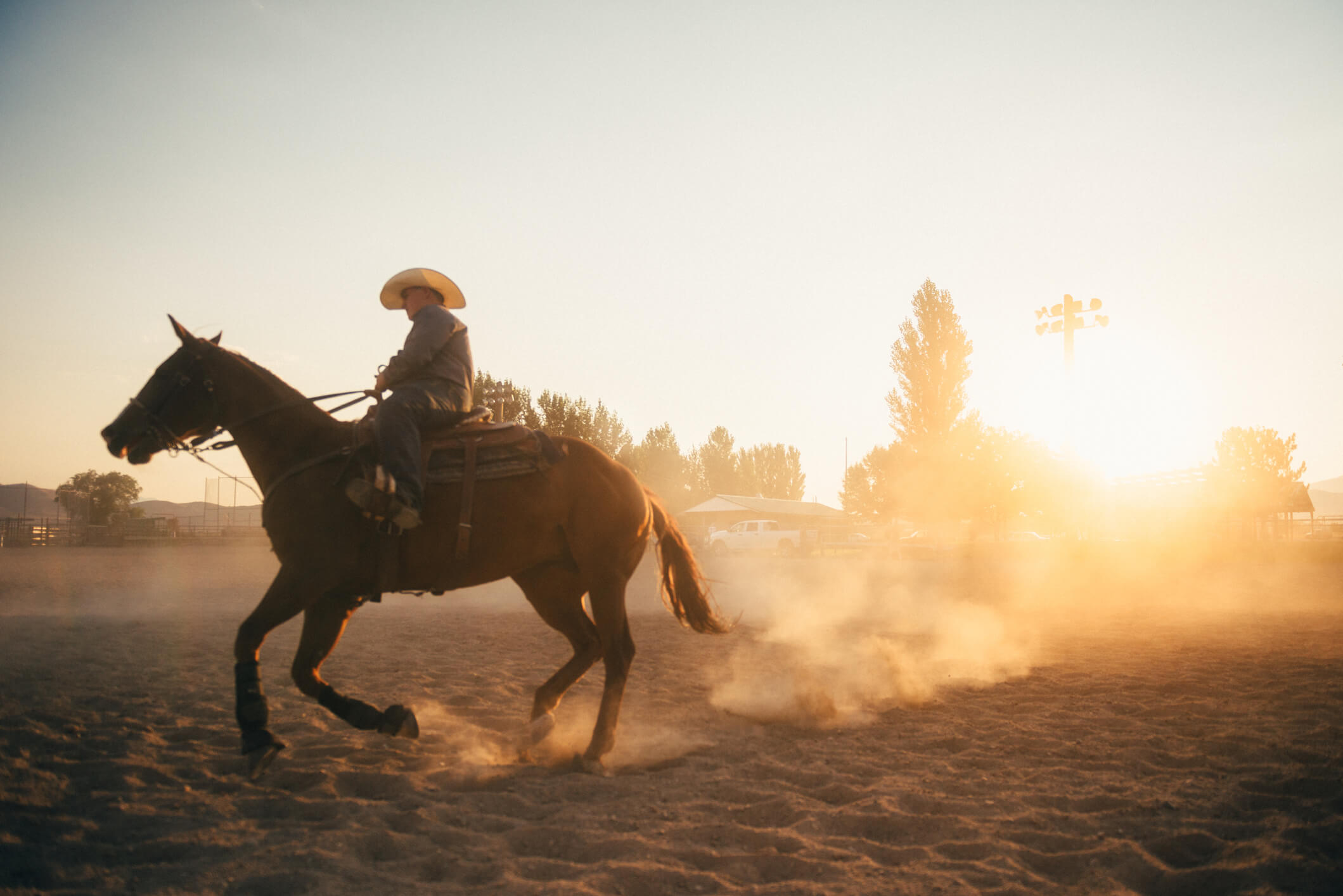 sertanejo na veia. — Sabe por que os touros e cavalos de rodeio são tão